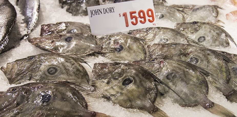 【食在新聞】以低價魚充當高價魚  業者挨罰